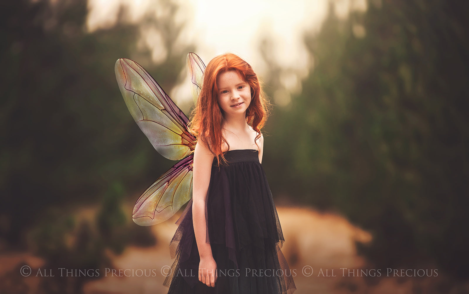 Digital Overlays for Photographers, Graphic design, scrapbooking and creatives.. Fairy Wings. High resolution, fine art digital assets for creating fantasy art.  Png overlay with transparent background. Magical Edit. Png Photo editing art assets.